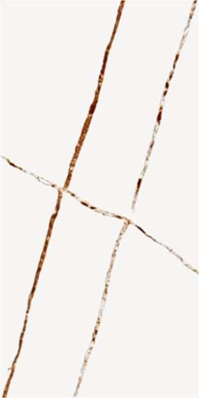 Bianco Parallel VQ 652